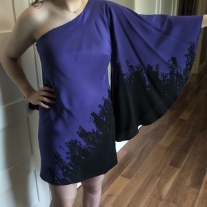Nicole Miller Dress